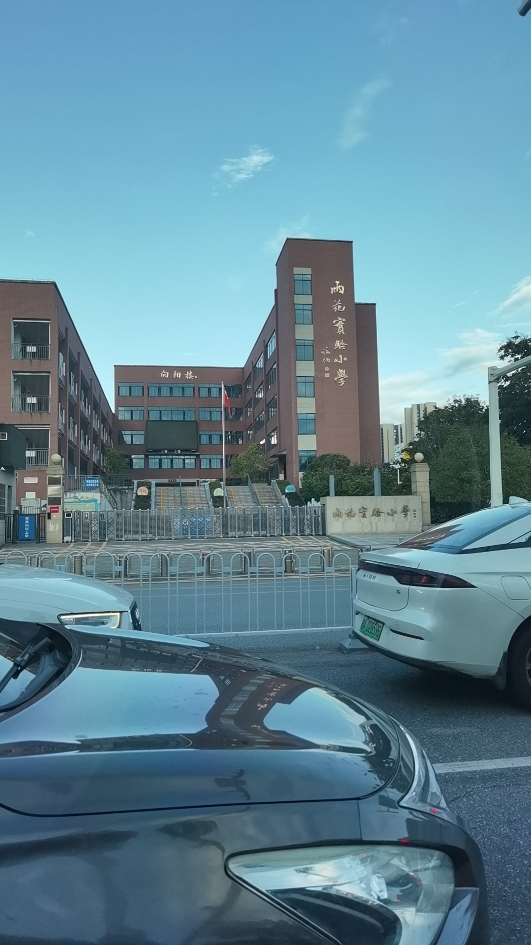 展示图