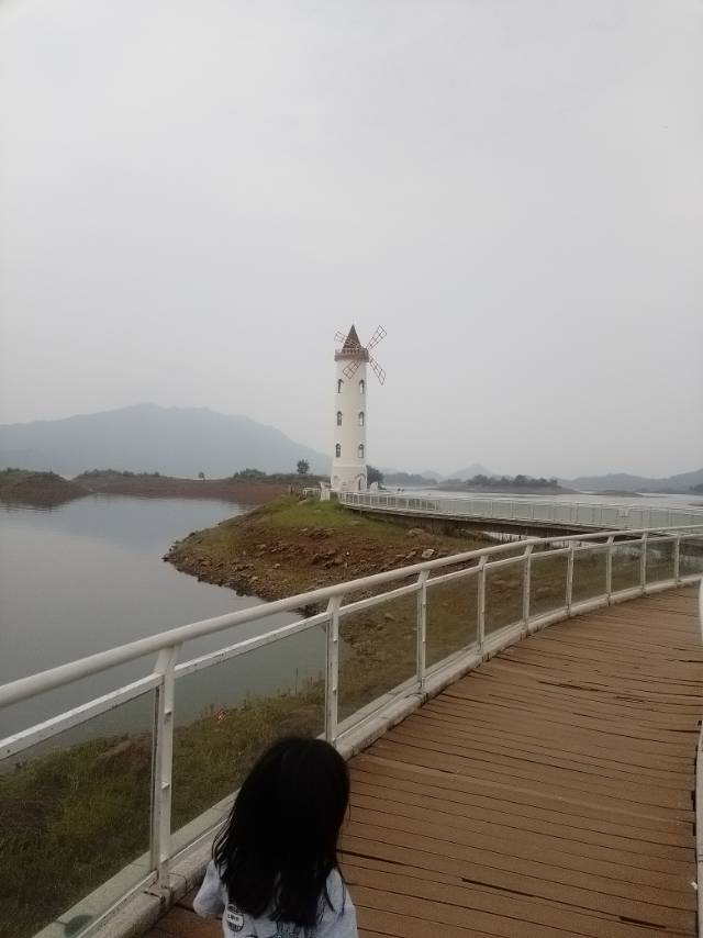 展示图