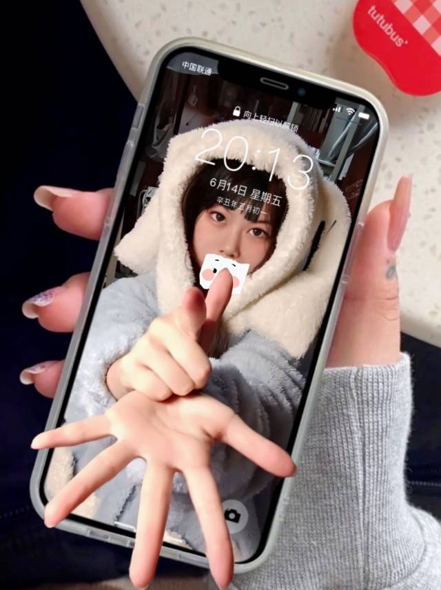 展示图