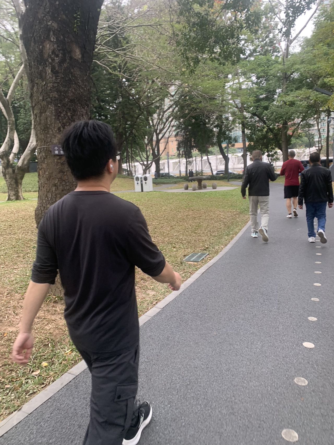 展示图