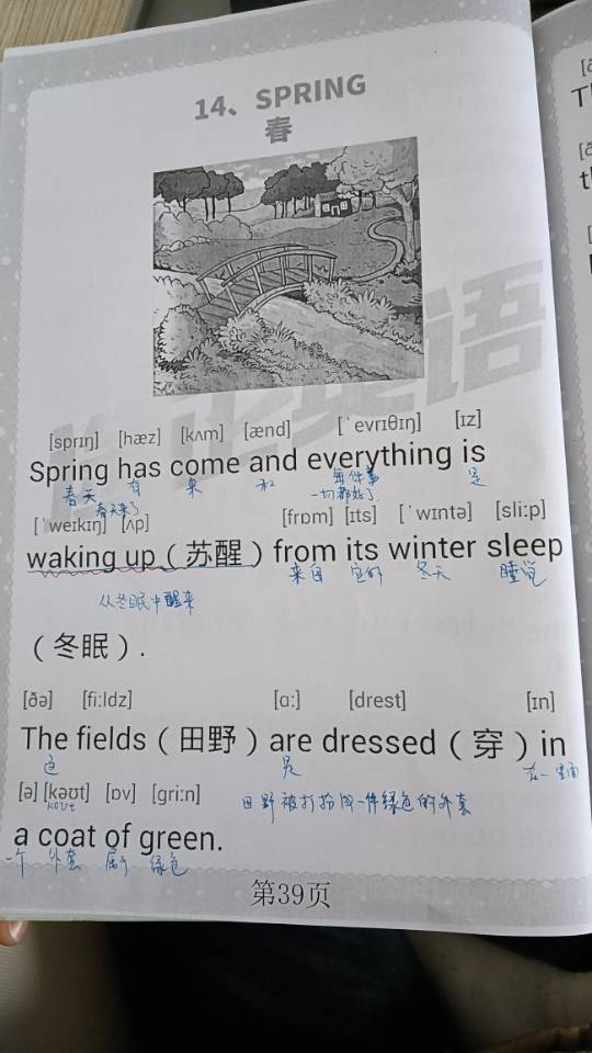 展示图
